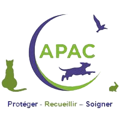 logo de l'asssociation APAC