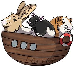 logo de l'asssociation l'arche de bagheera