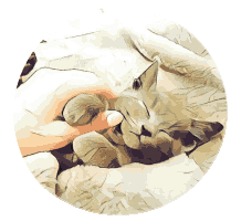 logo de l'asssociation pattes en rond