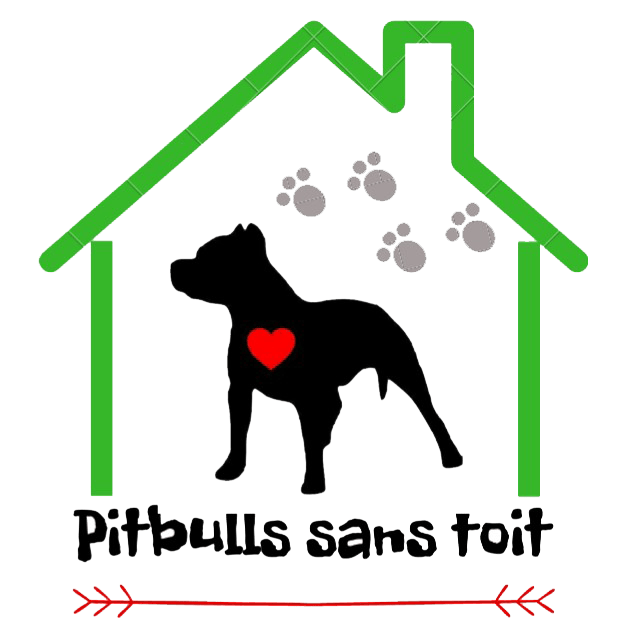 logo de l'asssociation pitbullsanstoit